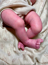 Load image into Gallery viewer, AVAILABLE Vinyl reborn Americus SOLD OUT LIMITED EDITION(sculpted by Laura Lee Eagles, brought to life by Nadine Dolotova)