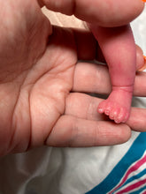 Load image into Gallery viewer, AVAILABLE Reborn mini Shasta by Marita Winters