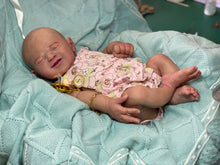 Load image into Gallery viewer, NOT AVAILABLE full body silicone baby girl Silver