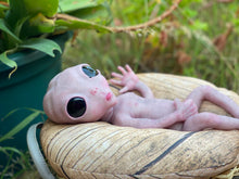 Load image into Gallery viewer, CUSTOM Full body silicone fantasy alien baby girl 12”