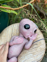 Load image into Gallery viewer, CUSTOM Full body silicone fantasy alien baby girl 12”