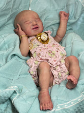 Load image into Gallery viewer, NOT AVAILABLE full body silicone baby girl Silver