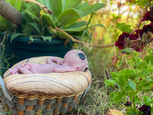 Load image into Gallery viewer, CUSTOM Full body silicone fantasy alien baby girl 12”