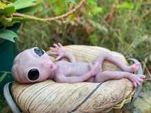Load image into Gallery viewer, CUSTOM Full body silicone fantasy alien baby girl 12”