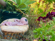 Load image into Gallery viewer, CUSTOM Full body silicone fantasy alien baby girl 12”