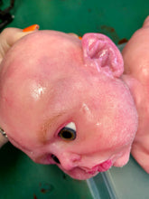 Load image into Gallery viewer, Tutorial on adding baby peachy fuzz to Silicone baby