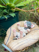 Load image into Gallery viewer, NOT AVAILABLE  Full body silicone sphinx kitten