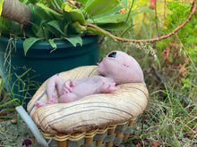 Load image into Gallery viewer, CUSTOM Full body silicone fantasy alien baby girl 12”