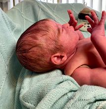 Load image into Gallery viewer, AVAILABLE SOLD OUT Vinyl reborn Gracie Mae  (sculpted by Laura Lee Eagles, brought to life by Nadine Dolotova)