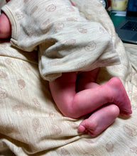 Load image into Gallery viewer, AVAILABLE Vinyl reborn Americus SOLD OUT LIMITED EDITION(sculpted by Laura Lee Eagles, brought to life by Nadine Dolotova)