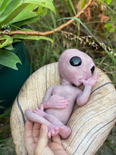 Load image into Gallery viewer, CUSTOM Full body silicone fantasy alien baby girl 12”