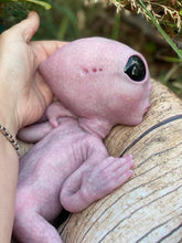 Load image into Gallery viewer, CUSTOM Full body silicone fantasy alien baby girl 12”