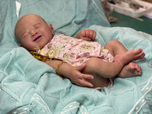 Load image into Gallery viewer, NOT AVAILABLE full body silicone baby girl Silver