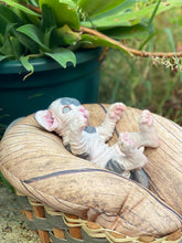 Load image into Gallery viewer, NOT AVAILABLE  Full body silicone sphinx kitten