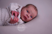 Load image into Gallery viewer, BLANK vinyl kit Mayven by Viviane Aleluia (includes: vinyl head, full limbs, non gender belly plate & fabric body)