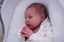 Load image into Gallery viewer, BLANK vinyl kit Mayven by Viviane Aleluia (includes: vinyl head, full limbs, non gender belly plate & fabric body)