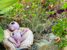 Load image into Gallery viewer, CUSTOM Full body silicone fantasy alien baby girl 12”