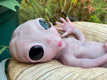 Load image into Gallery viewer, CUSTOM Full body silicone fantasy alien baby girl 12”