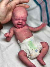 Load image into Gallery viewer, NOT AVAILABLE Full body silicone baby girl Aurelia 12”