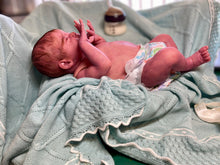 Load image into Gallery viewer, AVAILABLE SOLD OUT Vinyl reborn Gracie Mae  (sculpted by Laura Lee Eagles, brought to life by Nadine Dolotova)