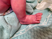 Load image into Gallery viewer, AVAILABLE SOLD OUT Vinyl reborn Gracie Mae  (sculpted by Laura Lee Eagles, brought to life by Nadine Dolotova)