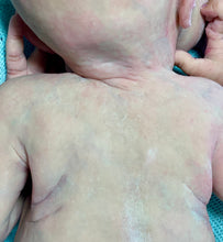 Load image into Gallery viewer, NOT AVAILABLE - PLEASE DON’T PLACE AN ORDER! Full body silicone baby boy Blu’