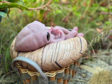 Load image into Gallery viewer, CUSTOM Full body silicone fantasy alien baby girl 12”