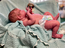 Load image into Gallery viewer, AVAILABLE SOLD OUT Vinyl reborn Gracie Mae  (sculpted by Laura Lee Eagles, brought to life by Nadine Dolotova)