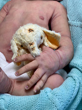 Load image into Gallery viewer, NOT AVAILABLE - PLEASE DON’T PLACE AN ORDER! Full body silicone baby boy Blu’