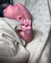 Load image into Gallery viewer, AVAILABLE Vinyl reborn Americus SOLD OUT LIMITED EDITION(sculpted by Laura Lee Eagles, brought to life by Nadine Dolotova)