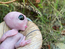 Load image into Gallery viewer, CUSTOM Full body silicone fantasy alien baby girl 12”
