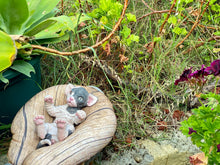 Load image into Gallery viewer, NOT AVAILABLE  Full body silicone sphinx kitten