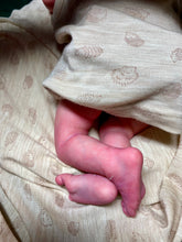 Load image into Gallery viewer, AVAILABLE Vinyl reborn Americus SOLD OUT LIMITED EDITION(sculpted by Laura Lee Eagles, brought to life by Nadine Dolotova)