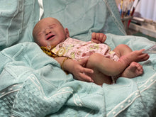 Load image into Gallery viewer, NOT AVAILABLE full body silicone baby girl Silver