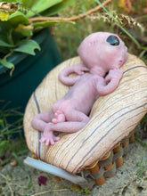 Load image into Gallery viewer, CUSTOM Full body silicone fantasy alien baby girl 12”