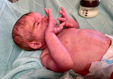 Load image into Gallery viewer, AVAILABLE SOLD OUT Vinyl reborn Gracie Mae  (sculpted by Laura Lee Eagles, brought to life by Nadine Dolotova)