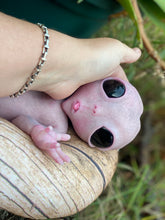 Load image into Gallery viewer, CUSTOM Full body silicone fantasy alien baby girl 12”
