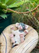 Load image into Gallery viewer, NOT AVAILABLE  Full body silicone sphinx kitten