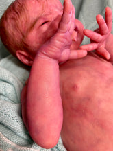 Load image into Gallery viewer, AVAILABLE SOLD OUT Vinyl reborn Gracie Mae  (sculpted by Laura Lee Eagles, brought to life by Nadine Dolotova)