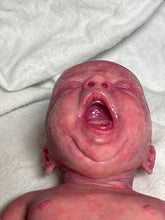 Load image into Gallery viewer, NOT AVAILABLE Full body silicone baby girl Aurelia 12”