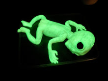 Load image into Gallery viewer, CUSTOM Full body silicone fantasy alien baby girl 12”