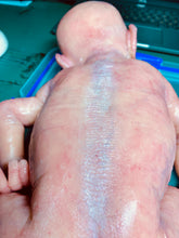 Load image into Gallery viewer, Custom BOO BOO full body silicone kit Minou sleeping in SUPER soft blend