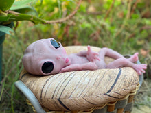Load image into Gallery viewer, CUSTOM Full body silicone fantasy alien baby girl 12”