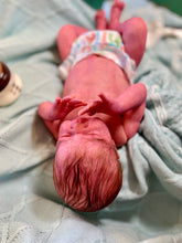 Load image into Gallery viewer, AVAILABLE SOLD OUT Vinyl reborn Gracie Mae  (sculpted by Laura Lee Eagles, brought to life by Nadine Dolotova)