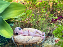 Load image into Gallery viewer, CUSTOM Full body silicone fantasy alien baby girl 12”