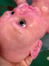 Load image into Gallery viewer, Tutorial on adding baby peachy fuzz to Silicone baby