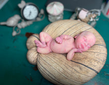 Load image into Gallery viewer, CUSTOM full body silicone baby Gracie (baby girl) in soft blend with armatures