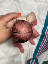 Load image into Gallery viewer, AVAILABLE Reborn vinyl baby Zane by Marita Winters