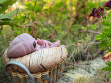 Load image into Gallery viewer, CUSTOM Full body silicone fantasy alien baby girl 12”