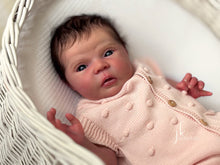 Load image into Gallery viewer, BLANK vinyl kit Mayven by Viviane Aleluia (includes: vinyl head, full limbs, non gender belly plate & fabric body)